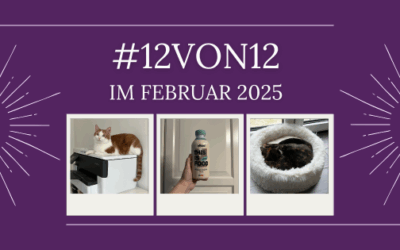 12 von 12 im Februar 2025 – #12von12