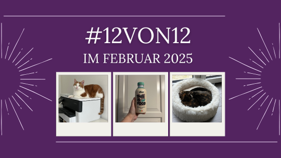 12 von 12 im Februar 2025 – #12von12