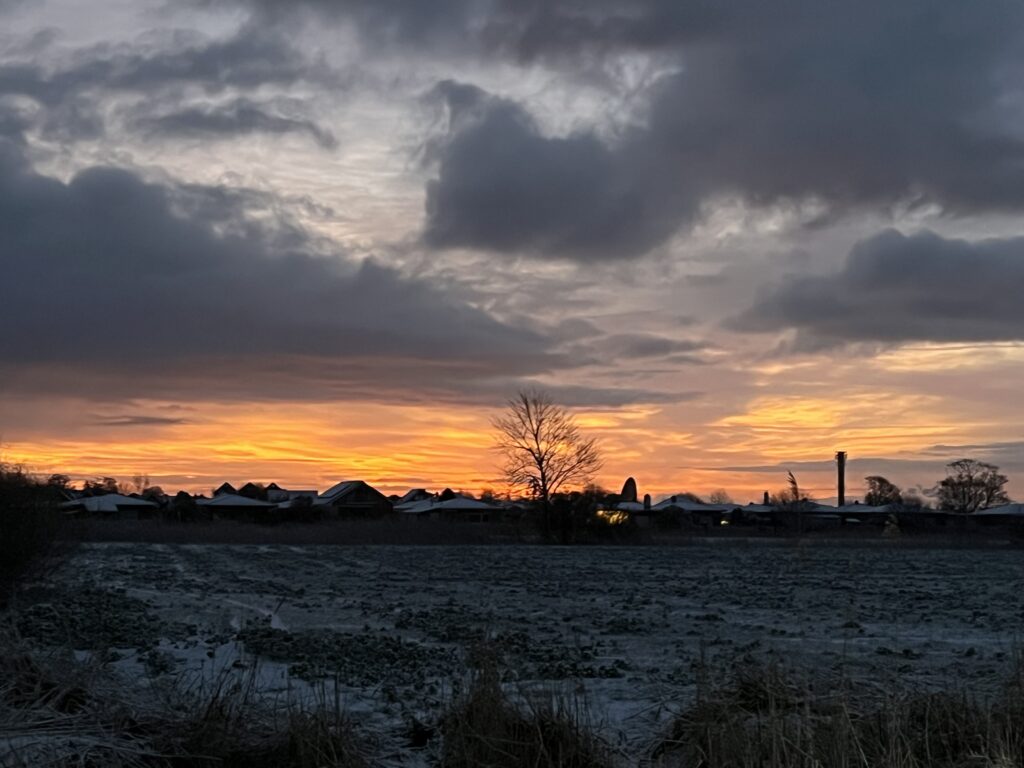 Monatsrückblick Januar 2025 - beginnender Sonnenaufgang