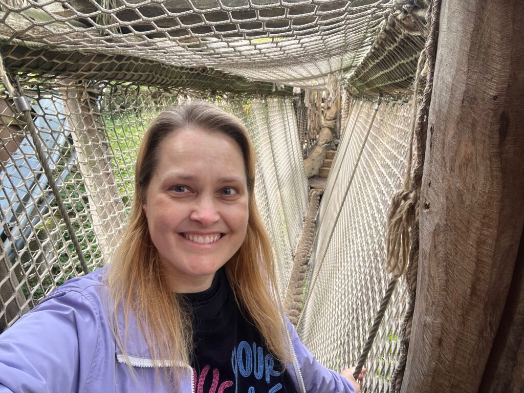 Monatsrückblick Oktober 2025